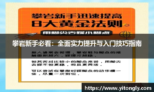 攀岩新手必看：全面实力提升与入门技巧指南