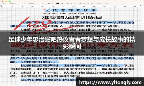 333体育全网最全